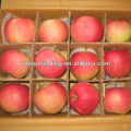 manzana shandong